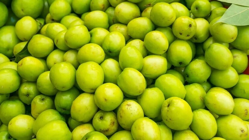 আচার, অম্বল এবং চাটনি-সহ একাধিক রান্নার প্রধান উপকরণ কুল৷ স্বাদের পাশাপাশি গুণেরও আধার বেরিজাতীয় এই টকমিষ্টি ফল৷ 