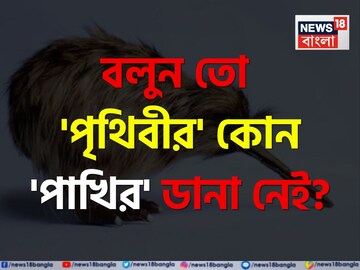 'পৃথিবীর' কোন 'পাখির' ডানা নেই বলুন তো...? প্রশ্ন শুনেই চুল ছিঁড়ছেন? চমকে দেবে 'উত্তর'!
