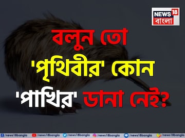 'পৃথিবীর' কোন 'পাখির' ডানা নেই বলুন তো...? প্রশ্ন শুনেই চুল ছিঁড়ছেন? চমকে দেবে 'উত্তর'! 'পৃথিবীর' কোন 'পাখির' ডানা নেই বলুন তো...? প্রশ্ন শুনেই চুল ছিঁড়ছেন? চমকে দেবে 'উত্তর'!