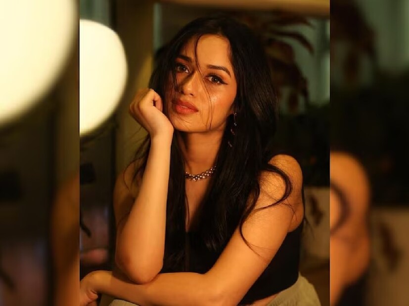 জান্নাত জুবায়ের টেলিভিশন শোগুলোর মধ্যে অভিনয় করেছেন যেমন: *‘দিল মিল কে’, ‘কাশি: আপ না রাহে তেরা কাকা কোর’, ‘ফুলওয়া’, ‘মহারানা প্রতাপ’, ‘তু আশিকি’, ‘পেয়ার ফাইলস’* প্রভৃতি। এছাড়া, তিনি রানী মুখার্জি অভিনীত চলচ্চিত্র *‘হিচকি’*-তেও অভিনয় করেছেন। 