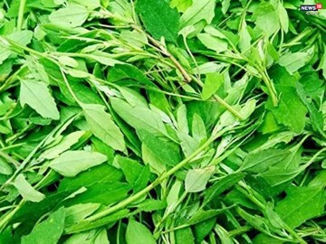বাজারে পাওয়া যাবে আর মাত্র ১-২ সপ্তাহ! এই শাক ভিটামিনের সিন্দুক! উপকার শুনলে কিনতে ছুটবেন