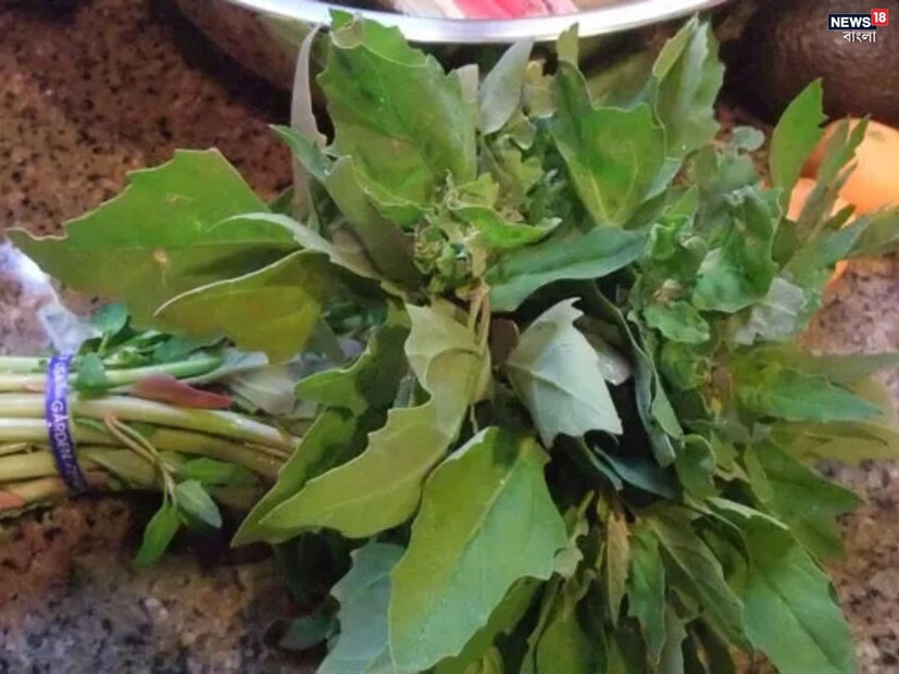 বেতো শাকে ফাইবার এবং অ্যামিনো অ্যাসিডও পাওয়া যায়, যা শারীরিক এবং মানসিক স্বাস্থ্য উন্নত করতে সাহায্য করে। বেতো শাকে ফাইবারের ভাল পরিমাণ থাকে, যা পাচনতন্ত্রকে সুস্থ রাখতে সাহায্য করে। শীতকালে কোষ্ঠকাঠিন্যের সমস্যা বাড়ে এবং এর থেকে রক্ষা পেতে বথুয়া খাওয়া উপকারী হতে পারে।