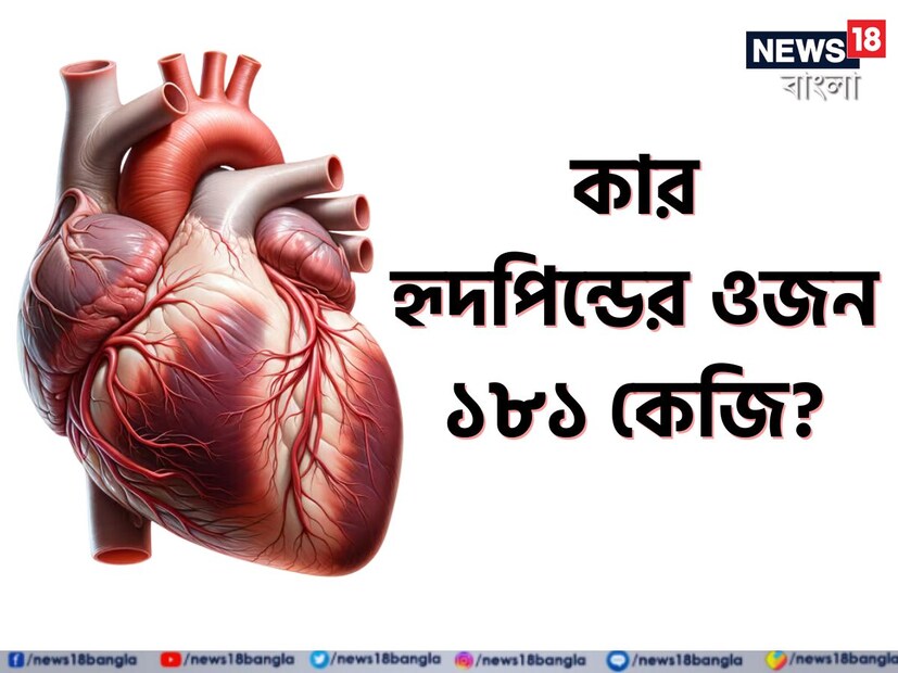 আমাদের পৃথিবীতে কোন প্রাণীর হার্ট সবথেকে বড়? ওজন ও আকার জানলে চমকে যাবেন। এশ্নের উত্তর দিতে গিয়ে কিন্তু হোঁচট খেয়েছেন অনেকেই। এবার আপনার পালা।