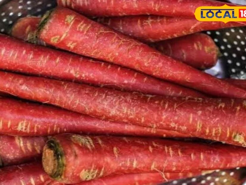 শুধু তাই নয়, শীতের এই সবজির এখন বাজারে ছড়াছড়ি। তাই দামও বেশ কম। উপরোক্ত সমস্ত গুণের অধিকারী হল গাজর। তবে উপরের কয়েকটি ছাড়াও গাজরের আরও একাধিক গুণাগুণ রয়েছে। 