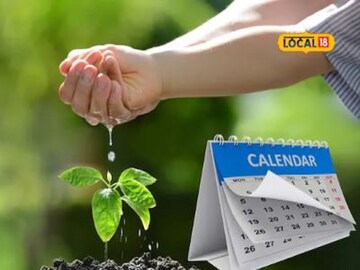 ভাগ্যের ফাঁড়া কাটছেই না,জন্ম তারিখ মিলিয়ে গাছ লাগান,মা লক্ষ্মী মুখ তুলে চাইবেন