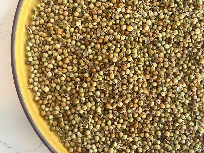 ব্রিটিশ জার্নাল অফ নিউট্রিশনে প্রকাশিত একটি গবেষণায় বলা হয়েছে, ধনে বীজের নির্যাসে এমন কিছু উপাদান থাকে যা অ্যান্টি-হাইপারগ্লাইসেমিক, ইনসুলিন নিঃসরণেরমতো কার্যকলাপ সৃষ্টি করতে পারে, ফলে শর্করার মাত্রা নিয়ন্ত্রণে থাকে। সংগৃহীত ছবি।