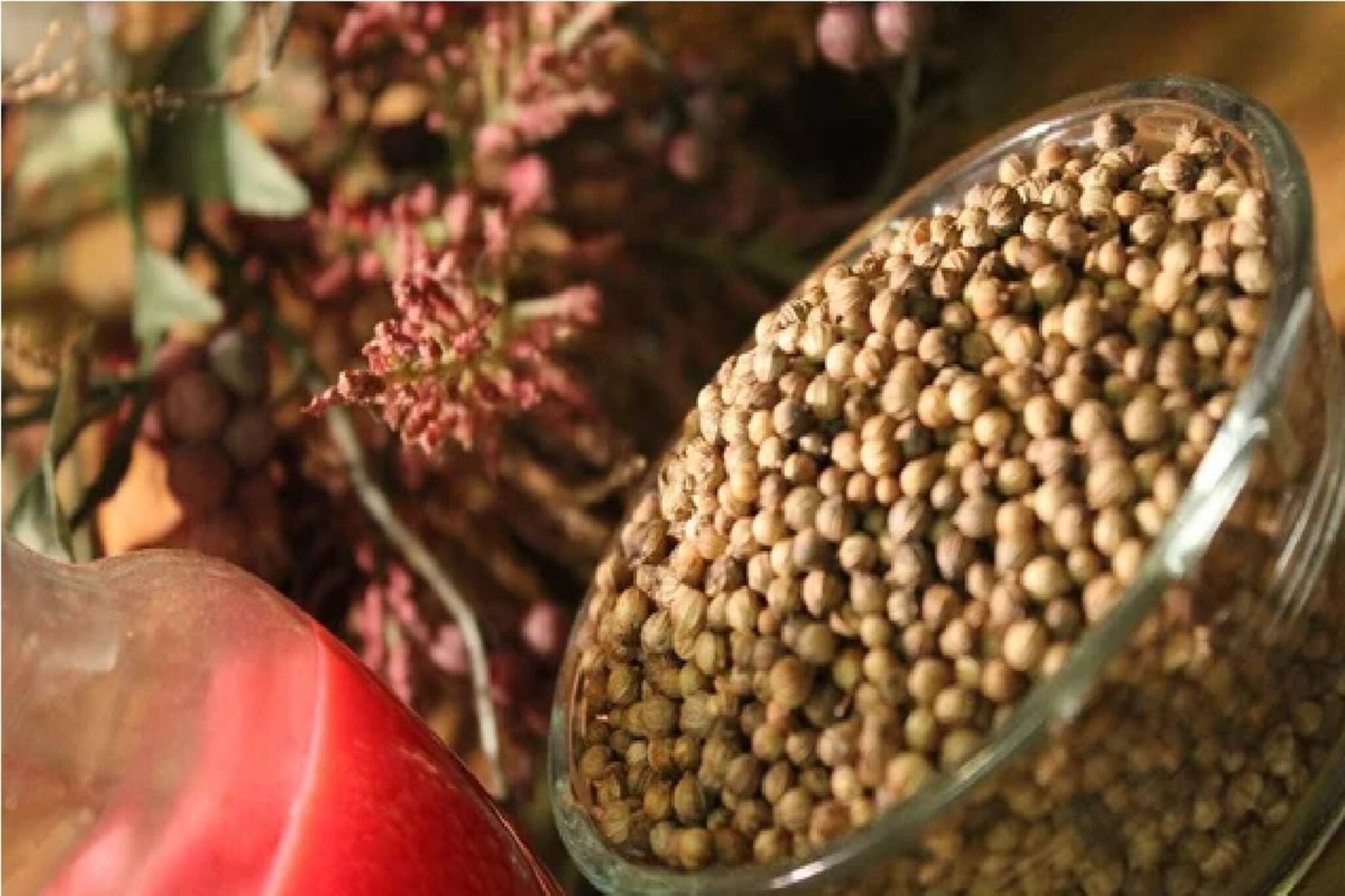 কোষ্ঠকাঠিন্যের ব্যথানাশী! ধমনী থেকে নিংড়ায় কোলেস্টেরল-সুগারের 'বিষ', রোজ খান