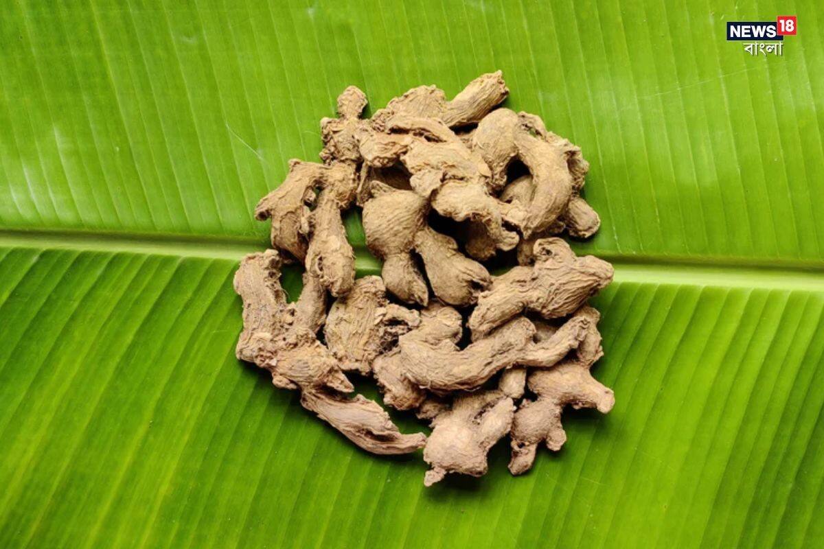 Dry Ginger Benefits: অ্যান্টাসিড বাদ দিন! রান্নাঘরের ‘চেনা’ মশলা চিবিয়ে খান ঠিক ‘এই ভাবে’! কোন রোগ ধারে কাছে ঘেঁষবে না Dry Ginger Benefits: অ্যান্টাসিড বাদ দিন! রান্নাঘরের ‘চেনা’ মশলা চিবিয়ে খান ঠিক ‘এই ভাবে’! কোন রোগ ধারে কাছে ঘেঁষবে না