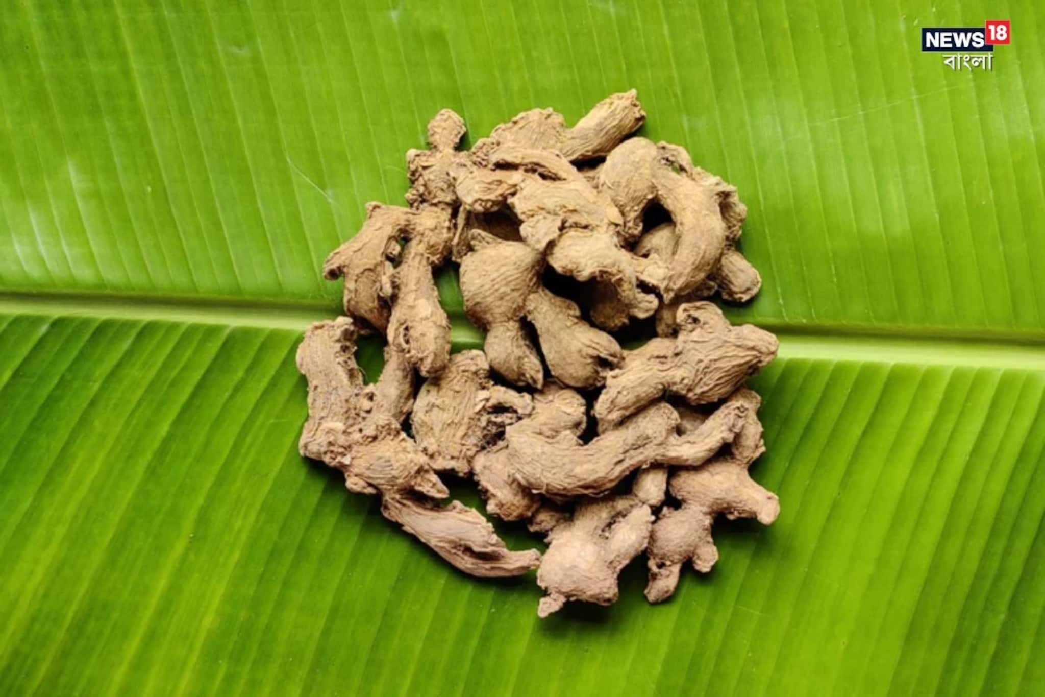 অ্যান্টাসিড বাদ দিন! রান্নাঘরের 'চেনা' মশলা চিবিয়ে খান ঠিক 'এই ভাবে'!