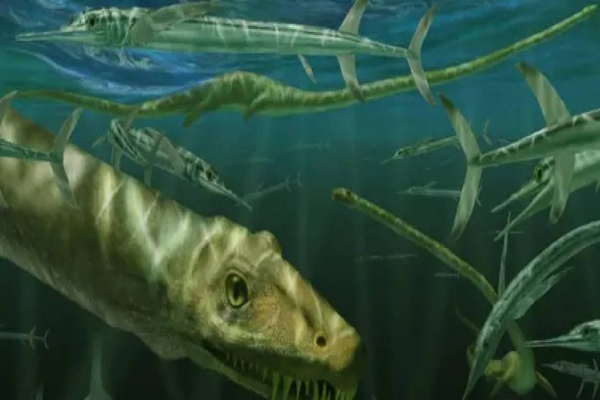 ৬ কোটি বছরেরও বেশি পুরনো এই 'মাছের বমি'...! নতুন দিগন্ত খুলে দিল বিজ্ঞানে! চমকে যাবেন