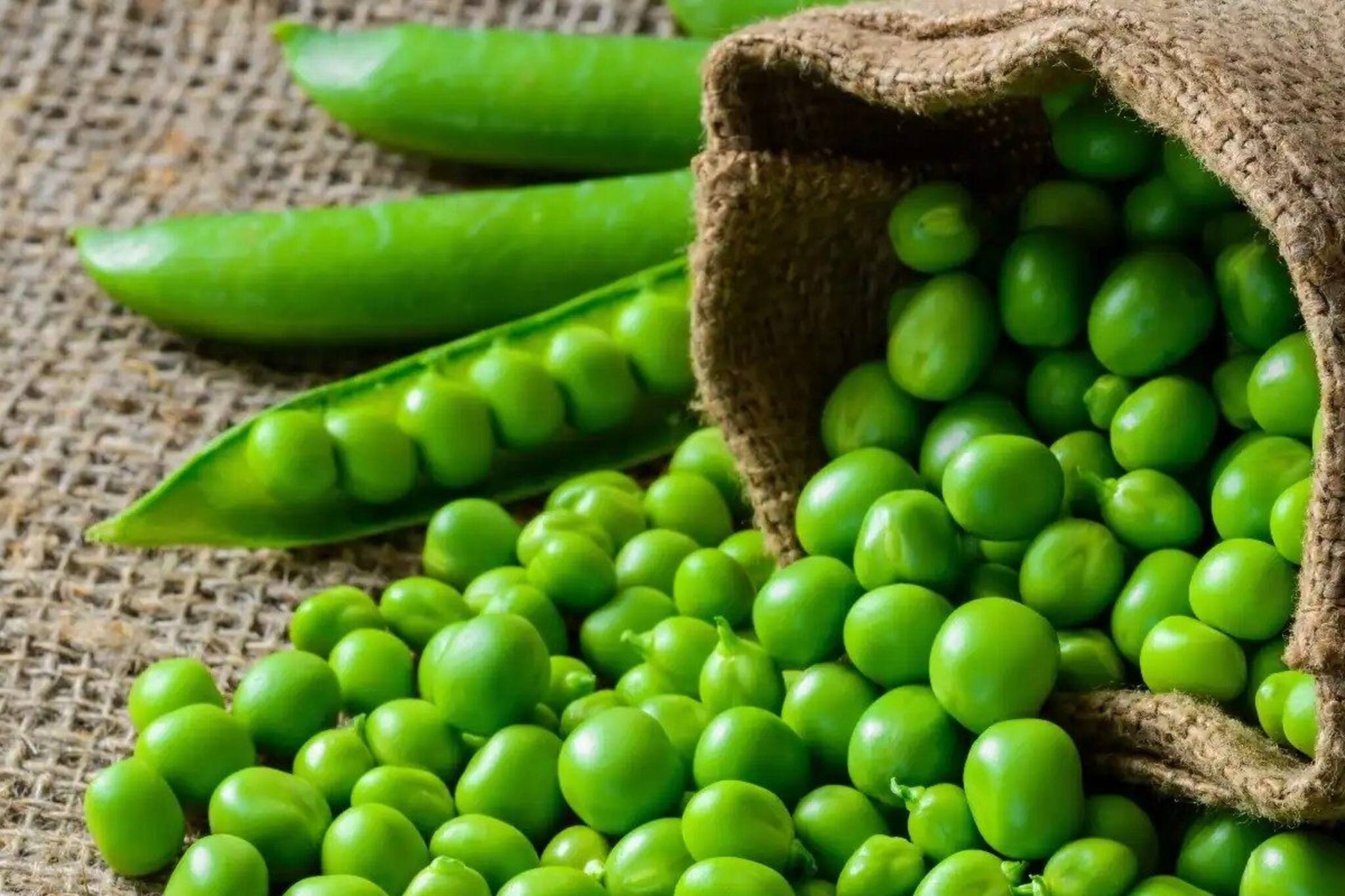 কড়াইশুঁটি ফল নাকি সবজি বলুন তো? সঠিক উত্তর দিতে পারলে আপনি জিনিয়াস