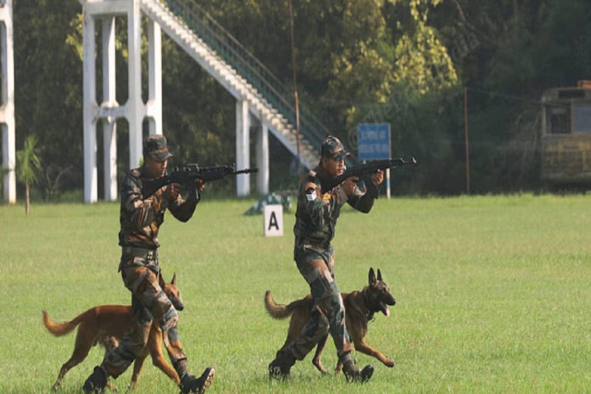 বড় 'চাল' ভারতীয় সেনার! পাকিস্তান বর্ডারে এবার সেনার সঙ্গে থাকবে 'ওরা'! কারা?