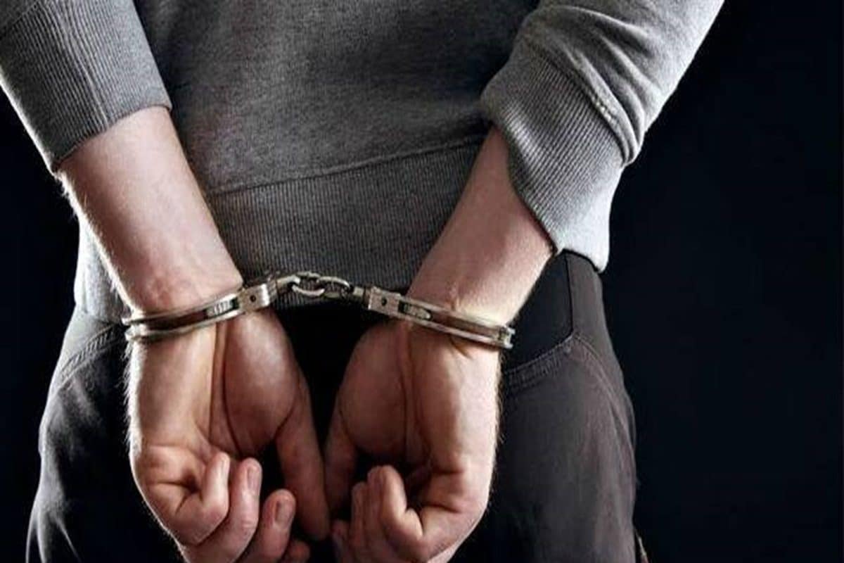 India Nepal border arrest: সীমান্তে নেপালি যুবকের ব্যাগে ভয়ঙ্কর দেখতে ওটা কী? দেখেই ঘুম উড়ল পুলিশের!