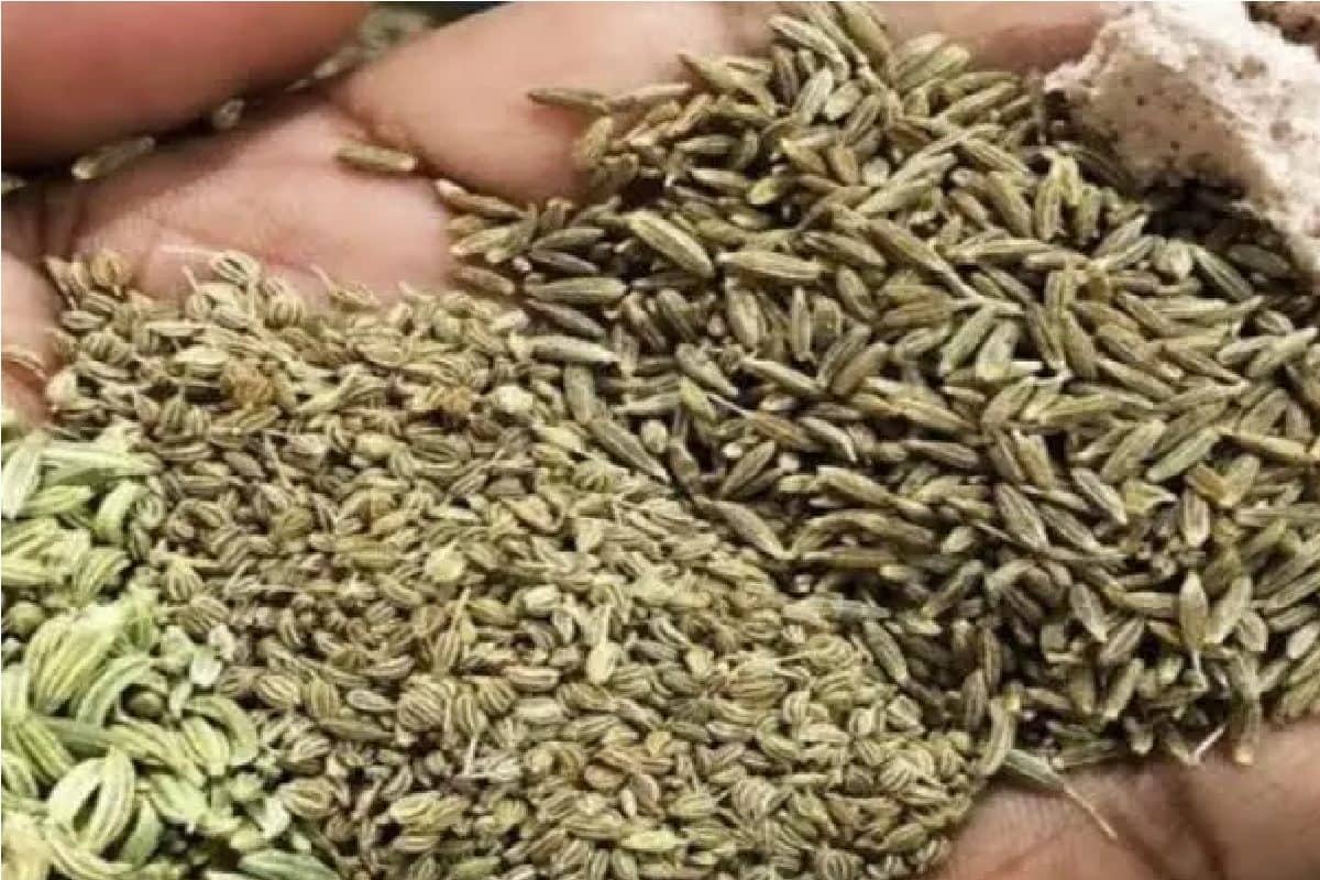 পাঁচ ফোড়নের সবথেকে গুরুত্বপূর্ণ, এক মশলায় একশো লাভ! ওষধি গুণে ভরপুর জিরে ২২টি রোগের ওষুধ