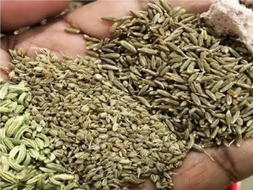 সকালে খালি পেটে জিরের জলও পান করতে পারেন।