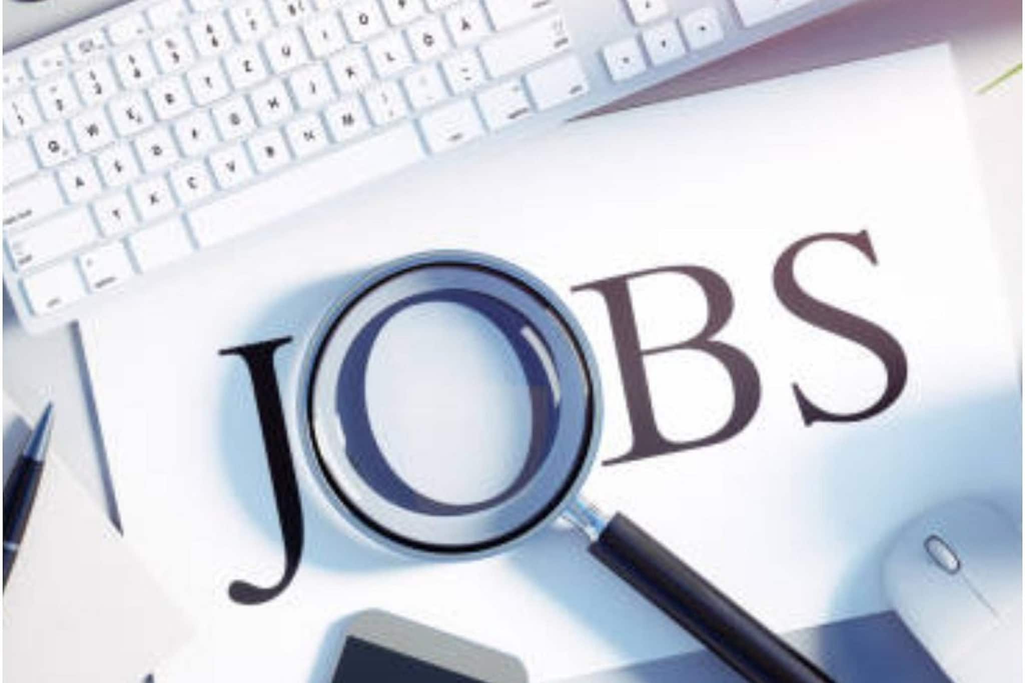 সরকারি চাকরি চাইলে সুখবর, হাই কোর্টে শূন্যপদ, অনলাইনে এখনই আবেদন করুন