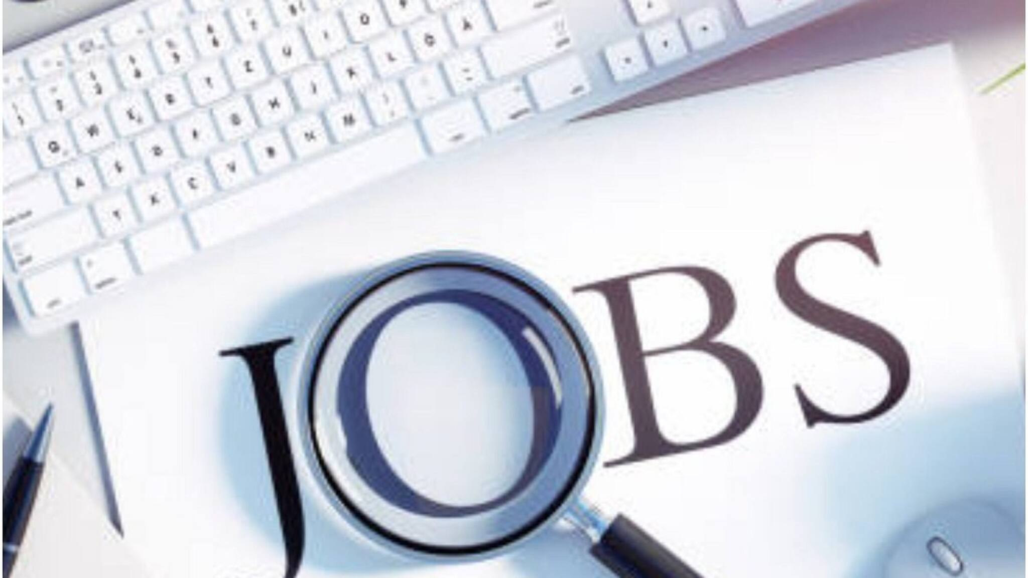 New Job: যুবকদের জন্য বন বিভাগে চাকরির সুযোগ, নেচার ও বার্ড গাইড হিসেবে প্রশিক্ষণ! আবেদন চলবে ১০ জানুয়ারি পর্যন্ত