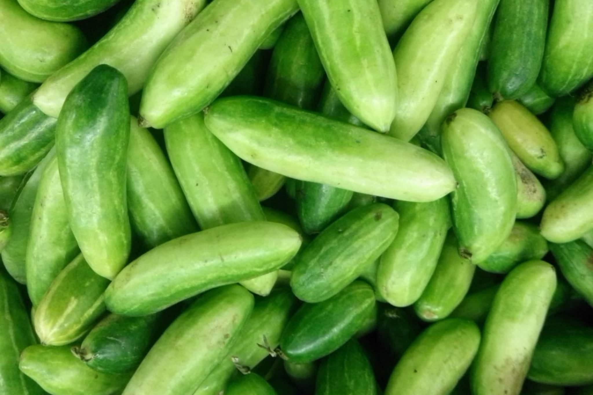 আয়রনের খনি, মেদ ঝড়বে হু হু করে, কোন ফল জানেন? যা ভাবছেন তা কিন্তু নয়