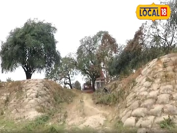 লোটা লোটা