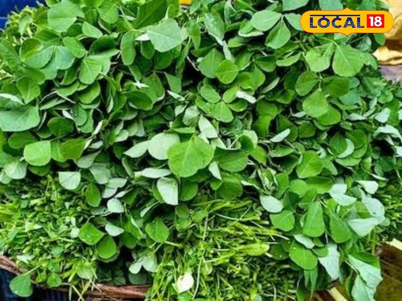 মেথির উষ্ণ প্রকৃতির কারণে এটি শীতকালে শরীরে তাপ তৈরি করে শরীরের তাপমাত্রা স্থিতিশীল রাখতে সাহায্য করে।এছাড়া মেথি শাকে ভাল পরিমাণে ফাইবার এবং অ্যান্টিঅক্সিডেন্ট রয়েছে। যা হজমের সমস্যা কমায় এবং কোষ্ঠকাঠিন্য, গ্যাস ও বদহজম থেকে মুক্তি দেয়। তাই শীতকালীন খাদ্যতালিকায় মেথি শাক অন্তর্ভুক্ত করুন।