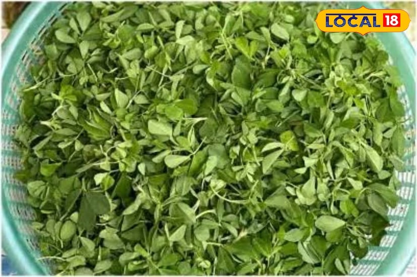 বয়স বাড়ার সঙ্গে জয়েন্টগুলোতে ফোলা ও ব্যথার মতো সমস্যা হতে শুরু করে। এমন পরিস্থিতিতে এই ব্যথা থেকে মুক্তি পেতে সাহায্য করতে পারে মেথি শাক। মেথিতে রয়েছে অ্যান্টিঅক্সিডেন্ট এবং অ্যান্টি-ইনফ্লেমেটরি বৈশিষ্ট্য। যা জয়েন্টের ব্যথা ও ফোলা কমায়।তাই শীতকালে পাতে রাখুন অবশ্যই মেথি শাক। (তথ্য: পিয়া গুপ্তা)