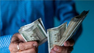 লাউতে টাকা লাগান তখন হবে দেদার রোজগার - Photo- Representative 