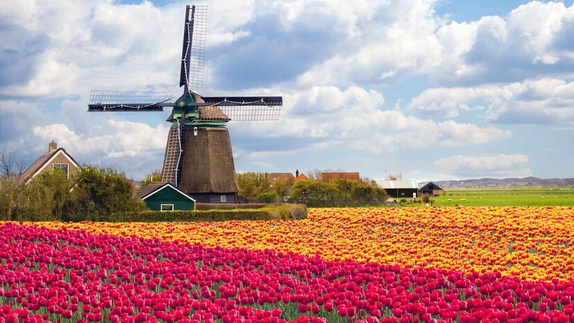 happiest countries, top 10 happiest countries, world happiness report, happiest countries 2025, global happiness rankings, happiness index, countries with best quality of life, world happiness rankings, happiest places on earth, top countries for happiness, global well-being, happiest nations, সবচেয়ে সুখী দেশ, শীর্ষ ১০ সুখী দেশ, বিশ্ব সুখীতা প্রতিবেদন, সুখী দেশ ২০২৫, বৈশ্বিক সুখীতা র&#x200d;্যাঙ্কিং, সুখীতা সূচক, সেরা জীবনযাত্রার দেশ, পৃথিবীর সুখী স্থান, সুখী জাতি, সুখী দেশের তালিকা, সুখী দেশগুলির বৈশিষ্ট্য