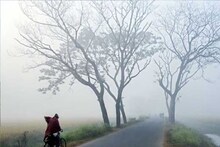কনকনে ঠান্ডা, পরিষ্কার আকাশ! মঙ্গলবার কেমন থাকবে উত্তরের আবহাওয়া?