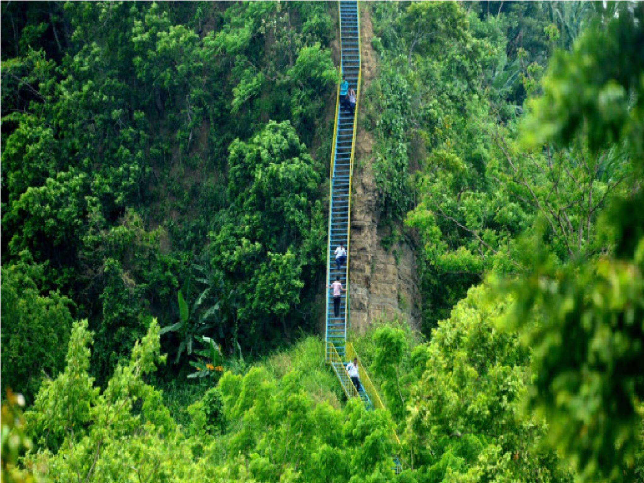 শিলিগুড়ি থেকে ঢিল ছোঁড়া দূরত্ব, পাহাড়ের কোলে এই জায়গায় কী দেখতে ছুটছে পর্যটকরা?