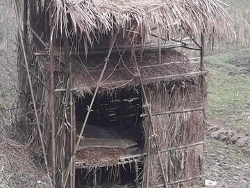 ফাইল ছবি