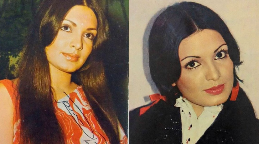 পরভীন তার প্রাথমিক চলচ্চিত্র থেকেই দর্শকদের উপর তার সৌন্দর্যের জাদু চালাতে শুরু করেছিলেন। পরভীনের অভিনয়ে গ্ল্যামারাস ঝলক ছিল। এই অভিনেত্রীর চলচ্চিত্র ১৯৭৫ সালে মুক্তিপ্রাপ্ত অমিতাভ বচ্চন অভিনীত চলচ্চিত্র দেওয়ার দিয়ে পরভীন ববি ধামাকা করেছিলেন। এরপর তিনি আমর আকবর অ্যান্থনি (১৯৭৭), সুহাগ (১৯৭৯), কালা পাথর (১৯৭৯), দ্য বার্নিং ট্রেন (১৯৮০), শান (১৯৮০), ক্রান্তি (১৯৮১), কালিয়া (১৯৮১) এবং নামক হালাল (১৯৮২) এর মতো সুপারহিট চলচ্চিত্রে দেখা গিয়েছিলেন। পরভীনকে শেষবার ১৯৯১ সালে মুক্তিপ্রাপ্ত চলচ্চিত্র 'ইরাদা' তে দেখা গিয়েছিল।