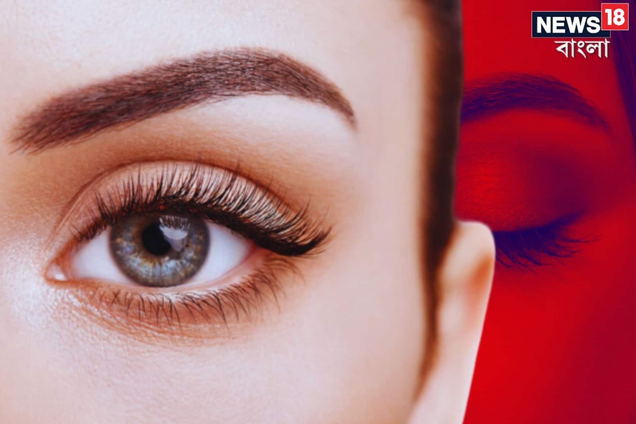 আপনার ভুরু মোটা না পাতলা? দুটো ভুরুর মধ‍্যে কি দূরত্ব অনেক! তবে কেমন মানুষ আপনি?