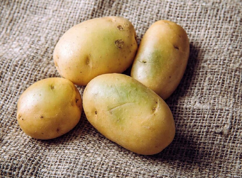 সোলানাইন এবং চ্যাকোনাইন অতিরিক্ত সেবনে বমি বমি ভাব, বমি, ডায়রিয়া এবং মাথাব্যথার মতো সমস্যা হতে পারে। গুরুতর ক্ষেত্রে এটি স্নায়ুতন্ত্রকেও প্রভাবিত করতে পারে। ফলে এই আলু এড়িয়ে চলাই ভাল বলে মত বিশেষজ্ঞদের। 