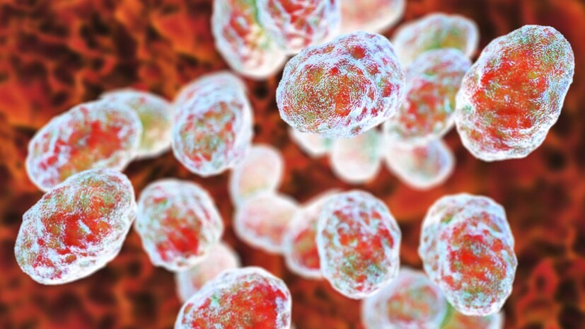 rabit fever, rabit fever in us, rabit fever in america,  HMPV Virus Cases, HMPV Virus Cases in india, HMPV Virus Cases in china, HMPV symptoms, china virus, hmpv cases, china hmpv virus, HMPV positive cases in India, HMPV positive children, Nagpur HMPV cases, Bengaluru HMPV cases, Gujarat HMPV cases, Tamil Nadu HMPV cases, Kolkata HMPV cases