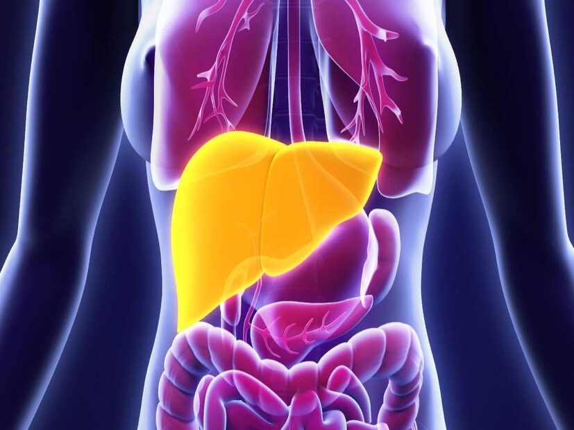 লিভার পরিষ্কার রাখতে আপনার প্রতিদিনের খাদ্যতালিকায় বেশি বেশি ফল ও সবজি রাখুন। কাঁচা হিসাবে রসের পরিবর্তে আস্ত ফল খান, গোটা ফলে বেশি এনজাইম থাকে। এটি হজমশক্তির উন্নতিতেও সাহায্য করে।