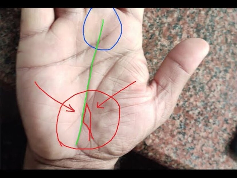 মাছের চিহ্ন-- হাতের পাতায় মাছের চিহ্ন থাকা খুব শুভ। এই ধরণের মানুষ বিদেশ যাত্রার সুযোগ পান, বিশাল ধন-সম্পত্তির মালিক হন। এদের জীবন খুশিতে ভরা থাকে।