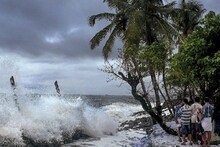 মুম্বইতে ভয়ানক ঘটনা! সমুদ্রের পাড় থেকে পালাচ্ছে মাছেরা, নতুন কোনও বিপদ নাকি!