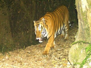 প্রতীকী ছবি