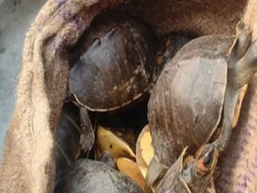 এগুলো কী!