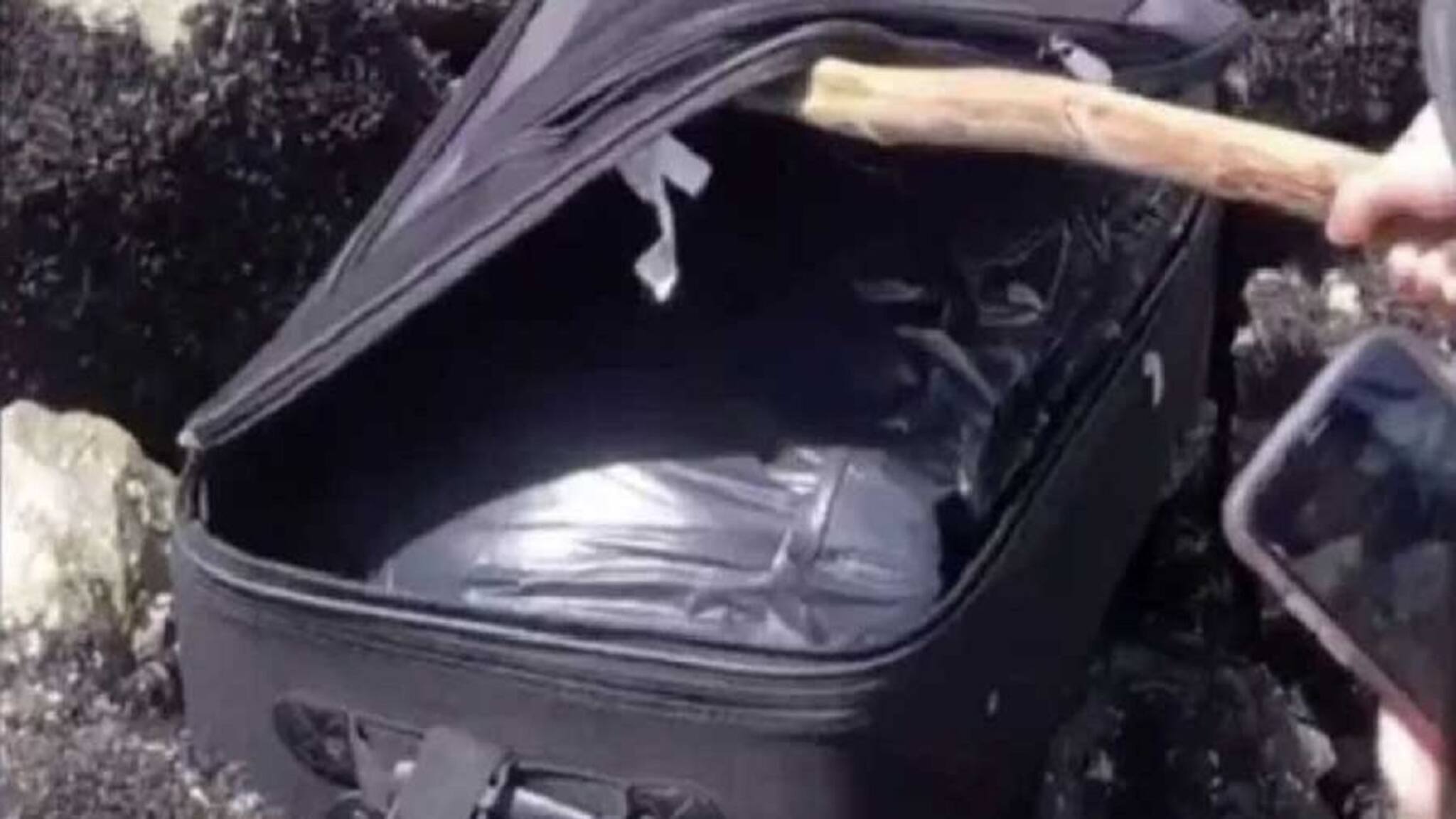 সর্বনাশ! ট্রেনের মধ্যে মহিলার ব্যাগে ওগুলো কী নড়ছে! ব্যাগ খুলতেই যা বেরল...