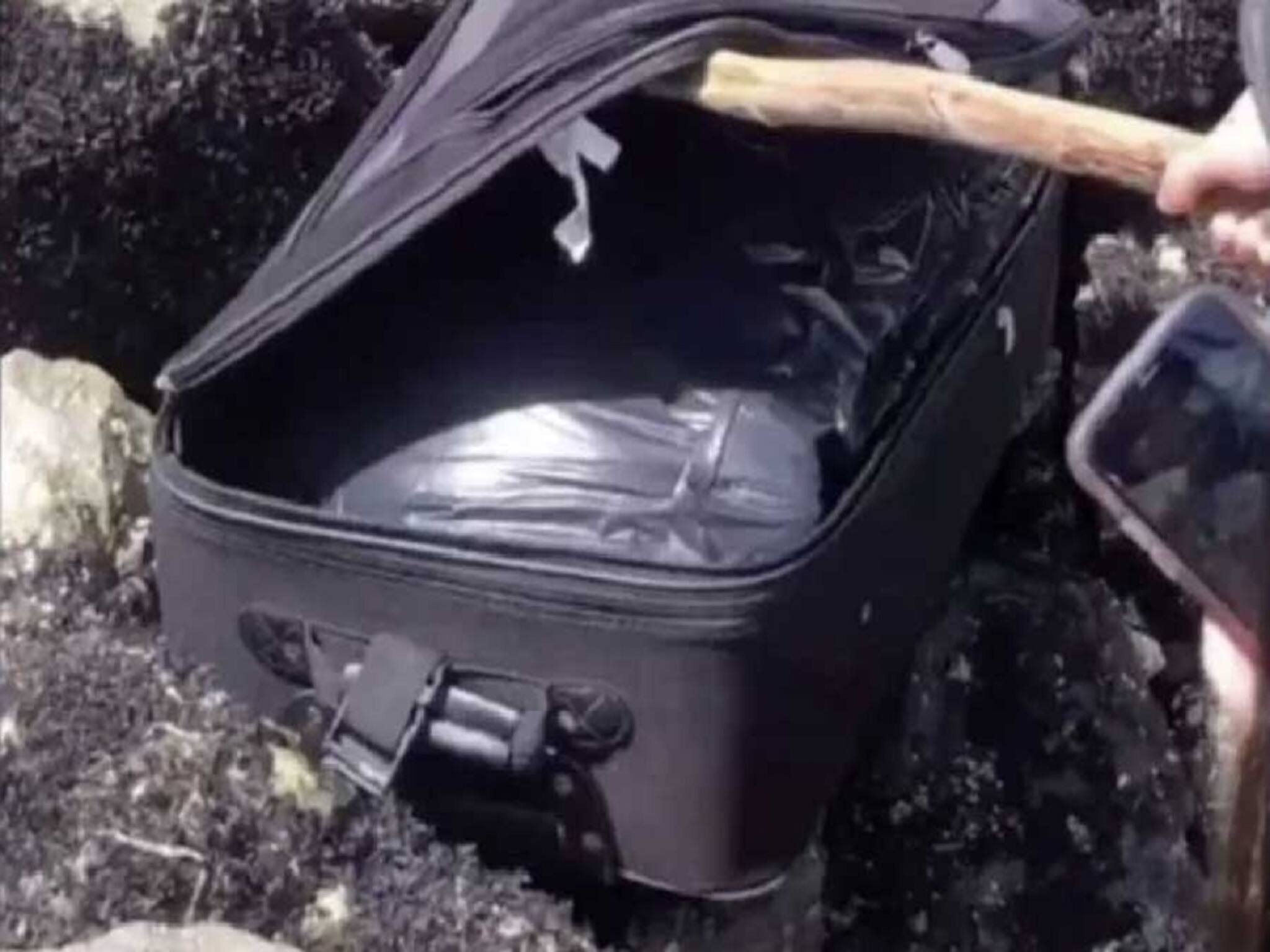 সর্বনাশ! ট্রেনের মধ্যে মহিলার ব্যাগে ওগুলো কী নড়ছে! ব্যাগ খুলতেই যা বেরল...