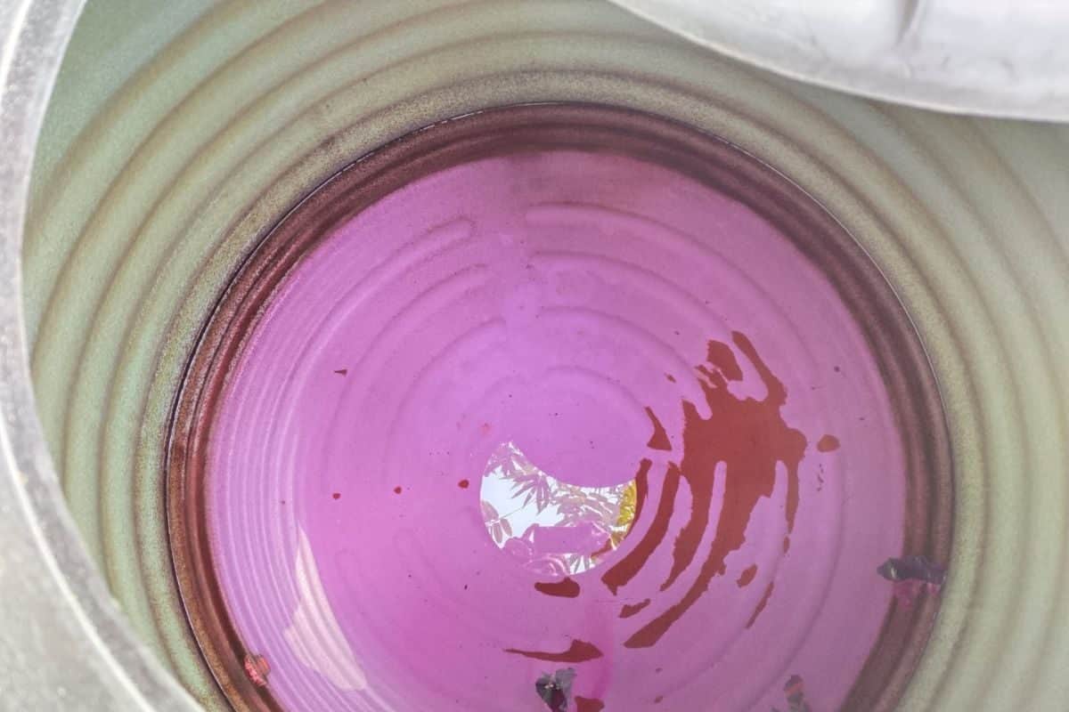 Pink Color Water: ট্যাপ খুলতেই ঝরঝর করে বেরচ্ছে গোলাপি জল! স্কুলে আতঙ্ক, বিরাট শোরগোল এলাকায় Pink Color Water: ট্যাপ খুলতেই ঝরঝর করে বেরচ্ছে গোলাপি জল! স্কুলে আতঙ্ক, বিরাট শোরগোল এলাকায়