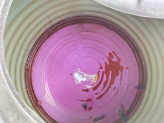 ট্যাপ খুলতেই বেরচ্ছে গোলাপি জল! স্কুলে আতঙ্ক, বিরাট শোরগোল এলাকায় ট্যাপ খুলতেই বেরচ্ছে গোলাপি জল! স্কুলে আতঙ্ক, বিরাট শোরগোল এলাকায়