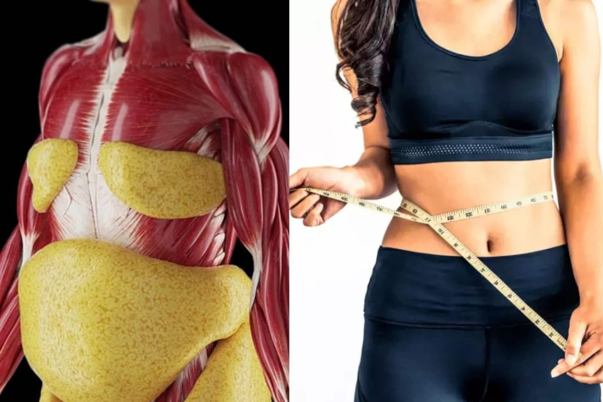 বরফের মতো গলবে চর্বি! ঝরবে পেটের মেদ...রাতে শুধু খেতে হবে এই একটি জিনিস