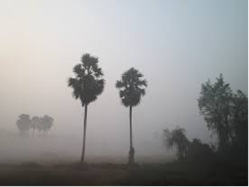 দক্ষিণবঙ্গে পাঁচ জেলায় হালকা থেকে মাঝারি কুয়াশা। দক্ষিণবঙ্গে আবহাওয়ার পরিবর্তন হতে পারে আগামী সপ্তাহে। আংশিক মেঘলা আকাশের সম্ভাবনা। বাতাসে বাড়বে জলীয় বাষ্পের পরিমাণ। 