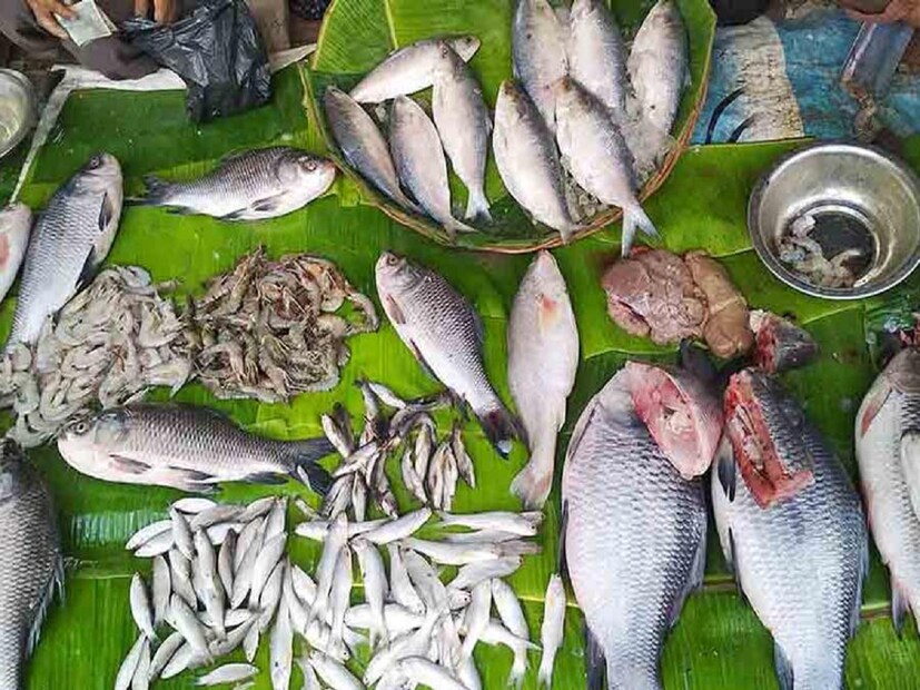 কথাতেই রয়েছে, মাছে-ভাতে বাঙালি। মাছ ছাড়া একদিনও চলে না। কিন্তু চাইলেই সব মাছ খাওয়া উচিত না। 