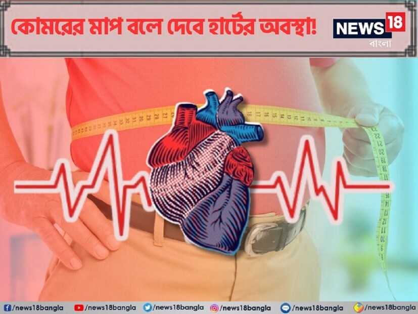 বুকের খাঁচার নীচে ও কোমরের উপরের ফিতে দিয়ে সকালে খালি পেটে এবং শৌচকর্মের পর এই মাপ নিতে হবে। ফিতে ভুঁড়িতে ঠেকিয়ে সঠিক ভাবে মাপ নিতে হবে। ছবিতে যেমন দেখা যাচ্ছে।