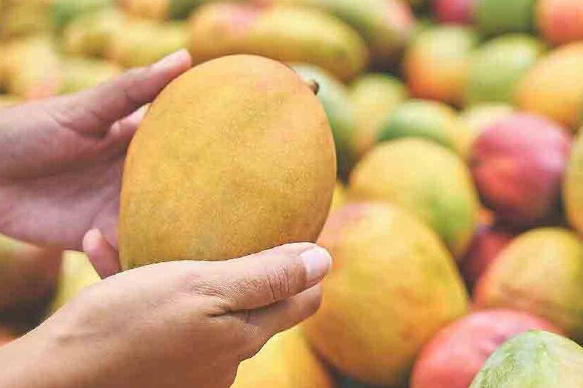 আম শরীরকে অনেক গরম করে এবং শরীরের তাপমাত্রা বাড়াতে পারে। আমের অতিরিক্ত সেবনে পিম্পল এবং ব্রণও হতে পারে। রাতে আম খাওয়া পেটে অ্যাসিডের মাত্রা বাড়াতে পারে। যাদের বুক জ্বালা বা অ্যাসিড রিফ্লাক্সের সমস্যা আছে, তাঁদের রাতে আম একেবারেই খাওয়া উচিত নয়। (Disclaimer: এই প্রতিবেদনটি কেবলমাত্র সাধারণ তথ্যের জন্য, তাই বিস্তারিত জানতে হলে সর্বদা বিশেষজ্ঞের পরামর্শ নিন।)