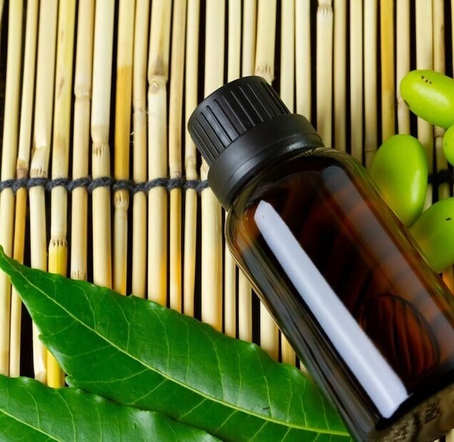 মশা তাড়ানোর ঘরোয়া প্রতিকার:মশার সমস্যার দুর্দান্ত একটি সমাধান হল নিম তেল। নিমের তেল একটি প্রাকৃতিক প্রতিরোধক হিসেবে কাজ করতে পারে, যা মশা দূরে রাখতে খুবই কার্যকর। মশারা এর গন্ধ মোটেও পছন্দ করে না এবং এটি স্প্রে করে দিলে মশারা আপনার ধারে কাছেও আসবে না।