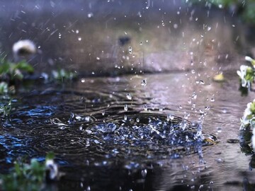 বৃষ্টি কমলেই দক্ষিণবঙ্গে খেলা বদল,  উত্তরে এবার বজ্র-বিদ্যুৎ, শিলাবৃষ্টির ছোবল,  আপডেট